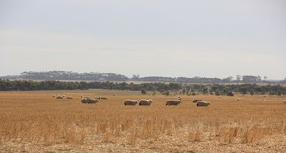 Future Drought Fund: Long-term Trials of Drought Resilient Farming Practices Program image