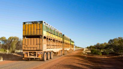 Livestock Transport Industry Transition