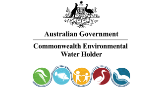 CEWH Environmental Activities