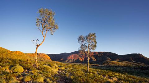 Australian Bushland Program – New Indigenous Protected Areas