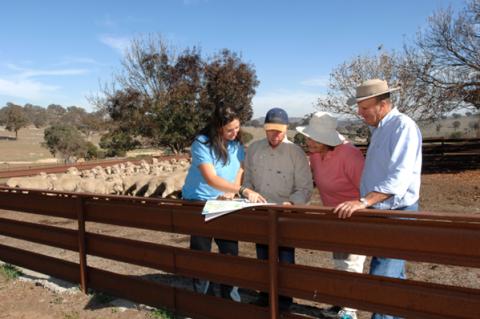 image of 4 rural people looking at a document resting on a wood fence with sheep behind them 