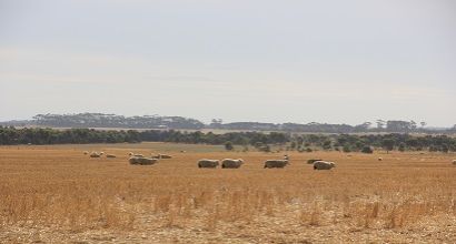 Future Drought Fund: Long-term Trials of Drought Resilient Farming Practices Program image