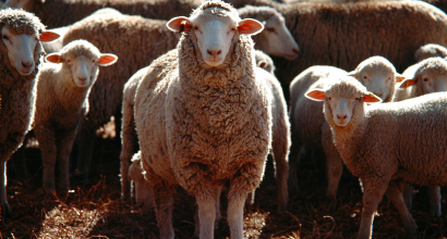 Farm Business Transition Program Round 1