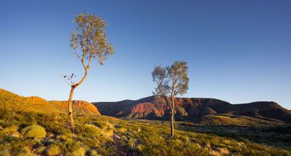 Australian Bushland Program – New Indigenous Protected Areas